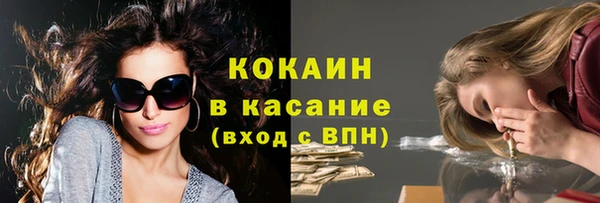 СК Новозыбков