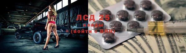 трава Новодвинск