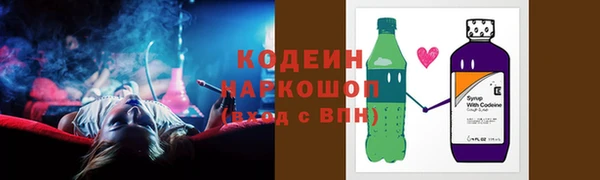СК Новозыбков