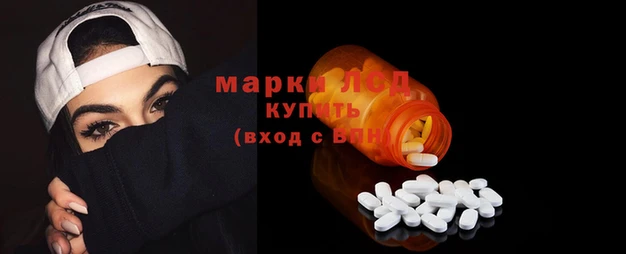СК Новозыбков
