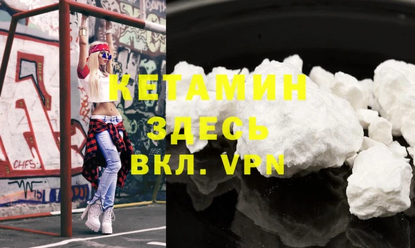 трава Новодвинск