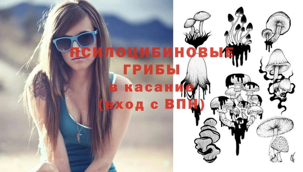 трава Новодвинск