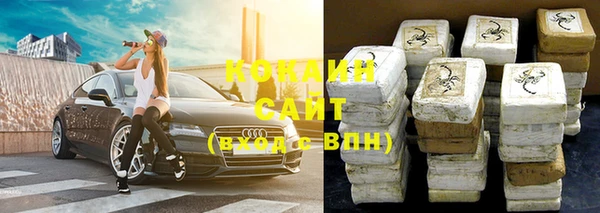 СК Новозыбков
