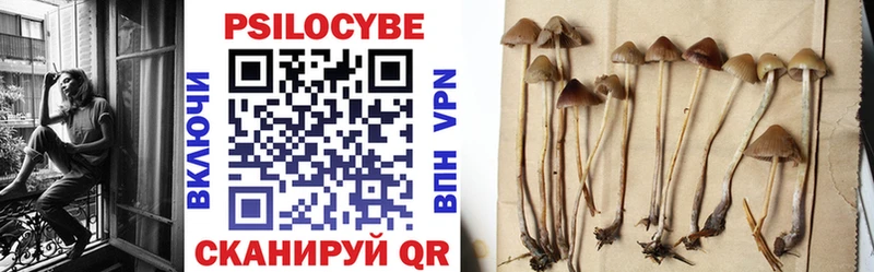 Купить  Кропоткин  Галлюциногенные грибы GOLDEN TEACHER 
